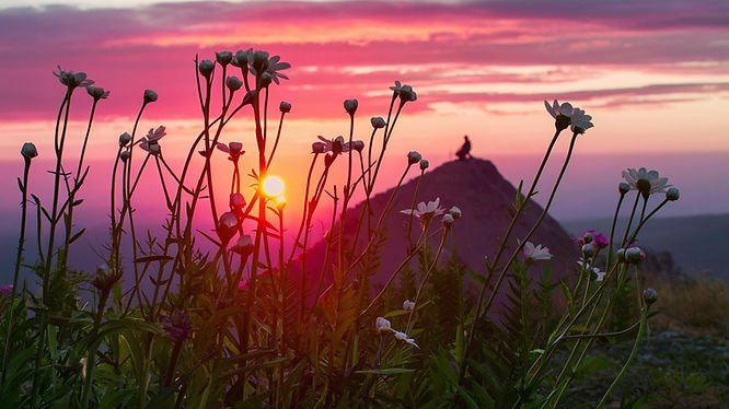 Positive Psychology and enhancing well-being