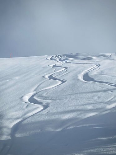 grooves in snow on ski slop representing neuroplasticity of the brain and changing old habits